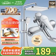 不锈钢圆形顶喷花洒